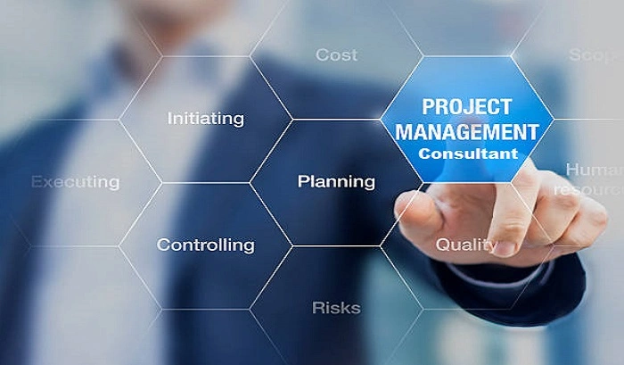 Project Management Consultant